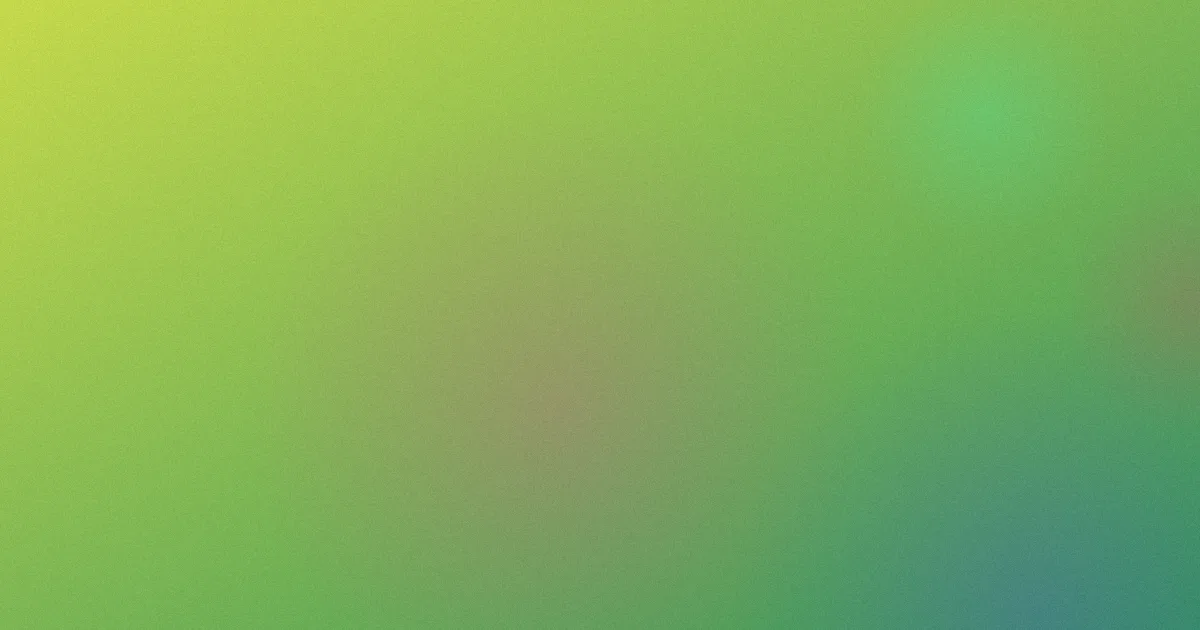 双探推荐：新手这样选